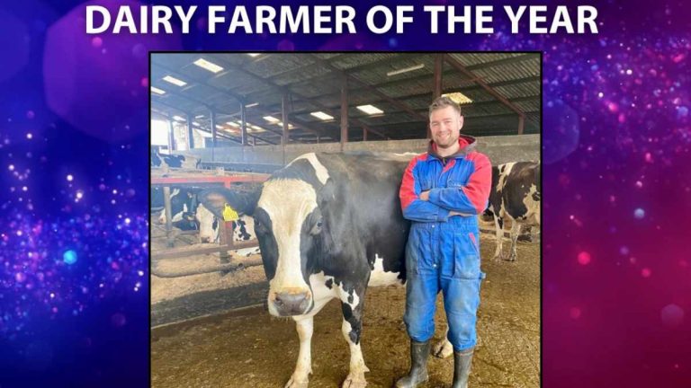 West Wales dairy farmer